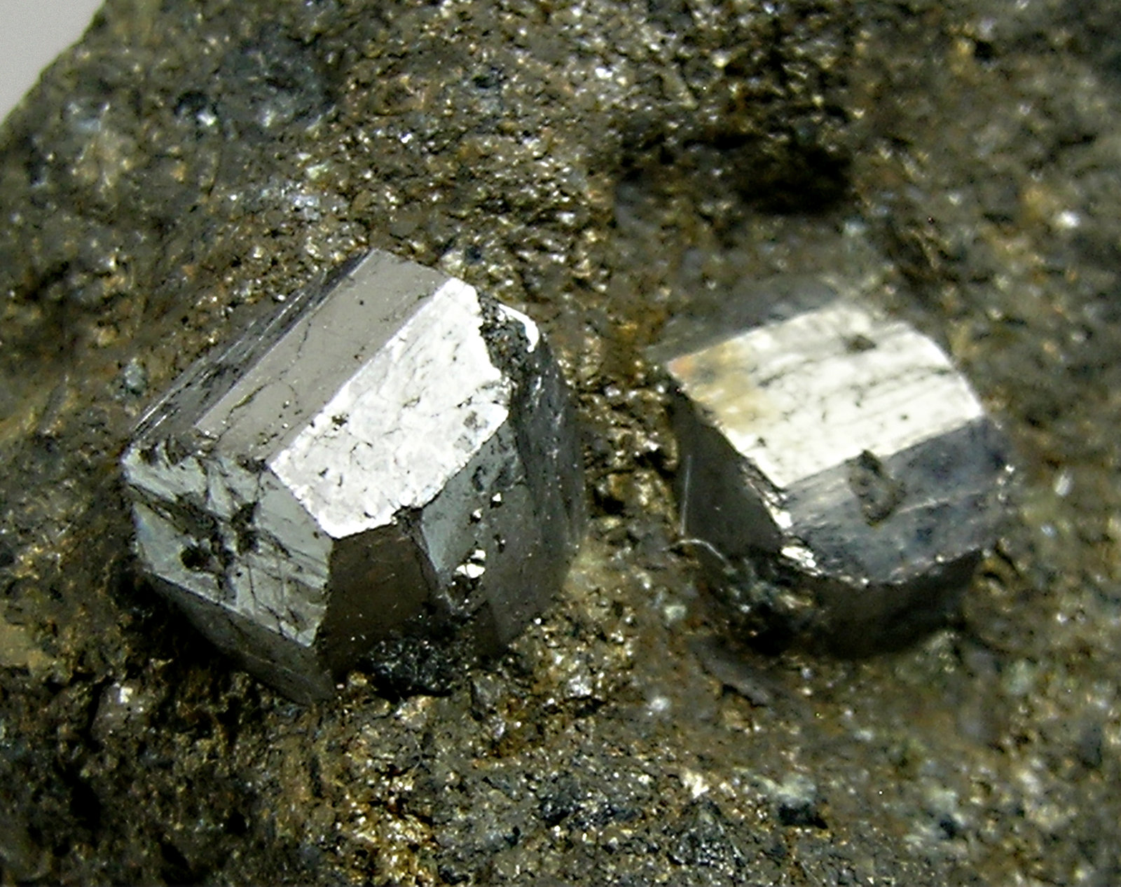 specimens/s_imagesM2/RJ76M2d.jpg