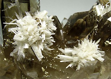 Bertrandite with smoky Quartz. 