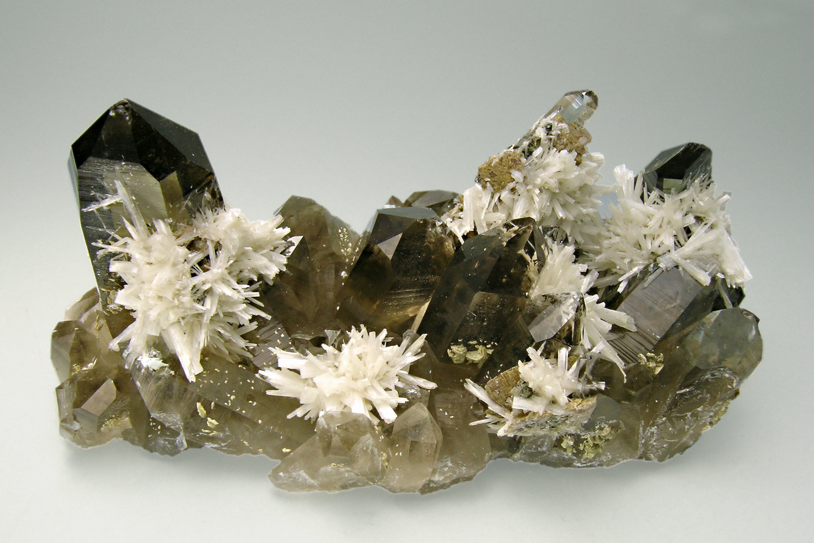 specimens/s_imagesM4/Bertrandite-AF99M4f.jpg