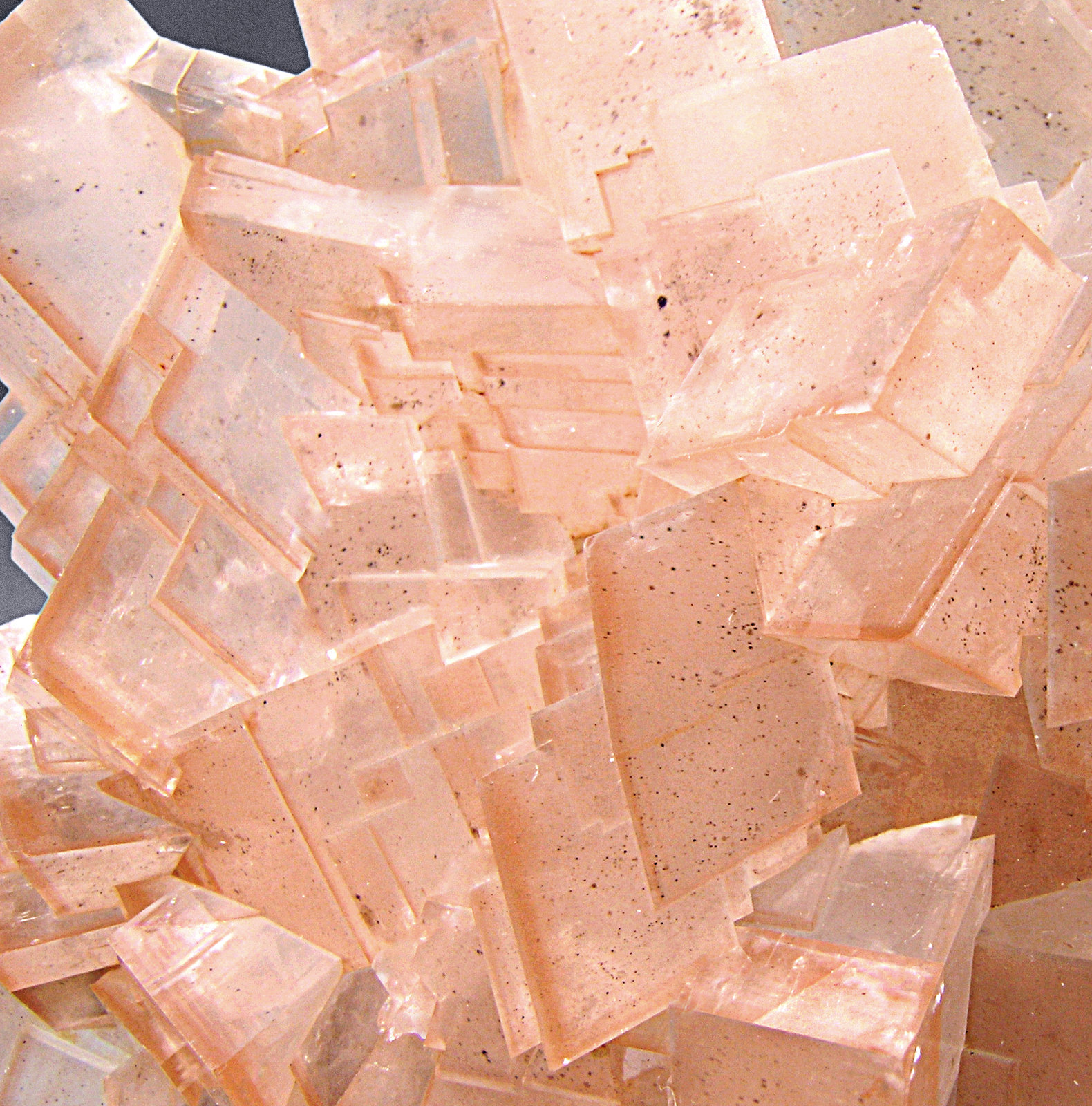 specimens/s_imagesM4/Calcite-AT46M4d.jpg