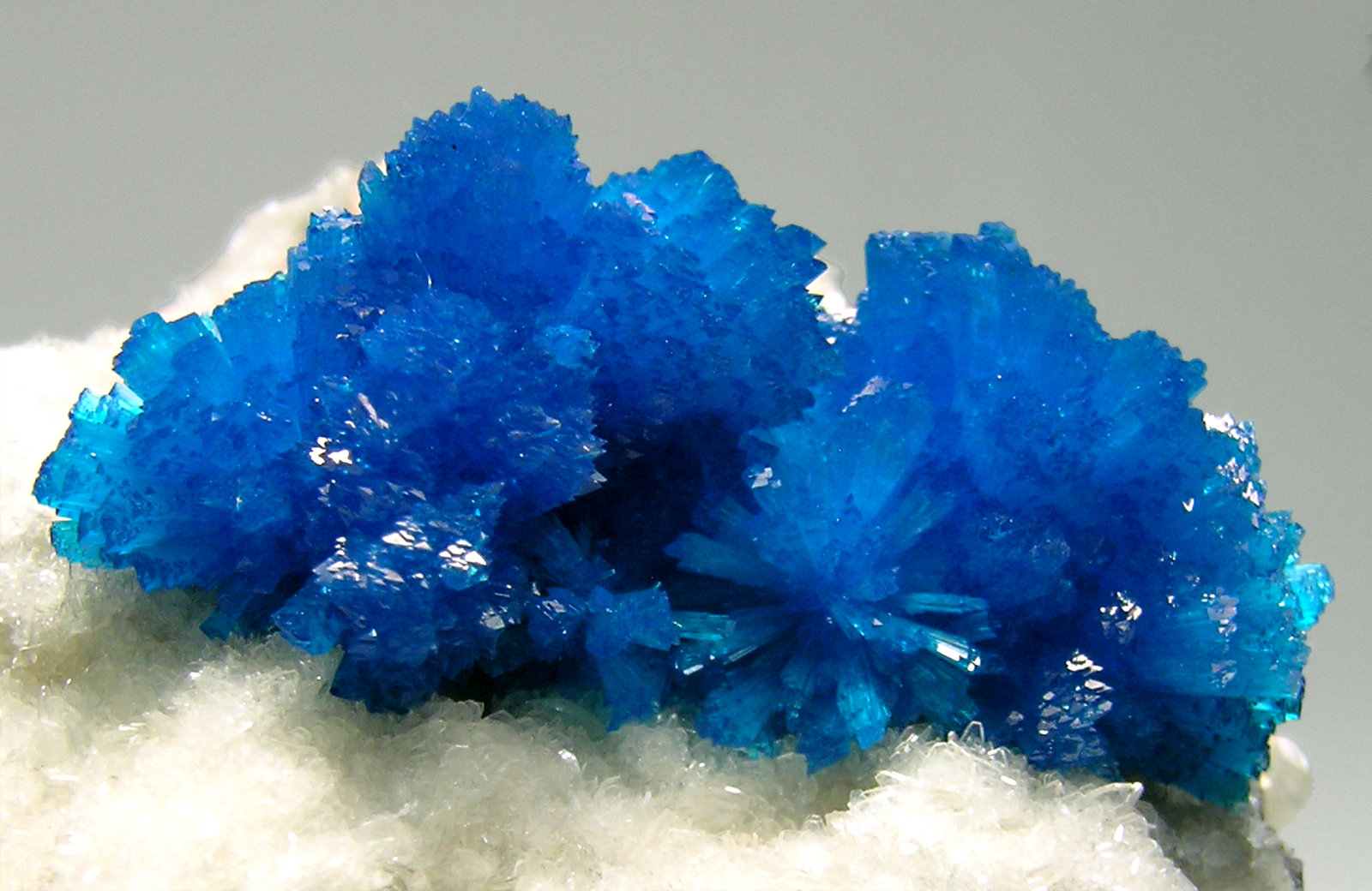 specimens/s_imagesM4/Cavansite-AG87M4d.jpg