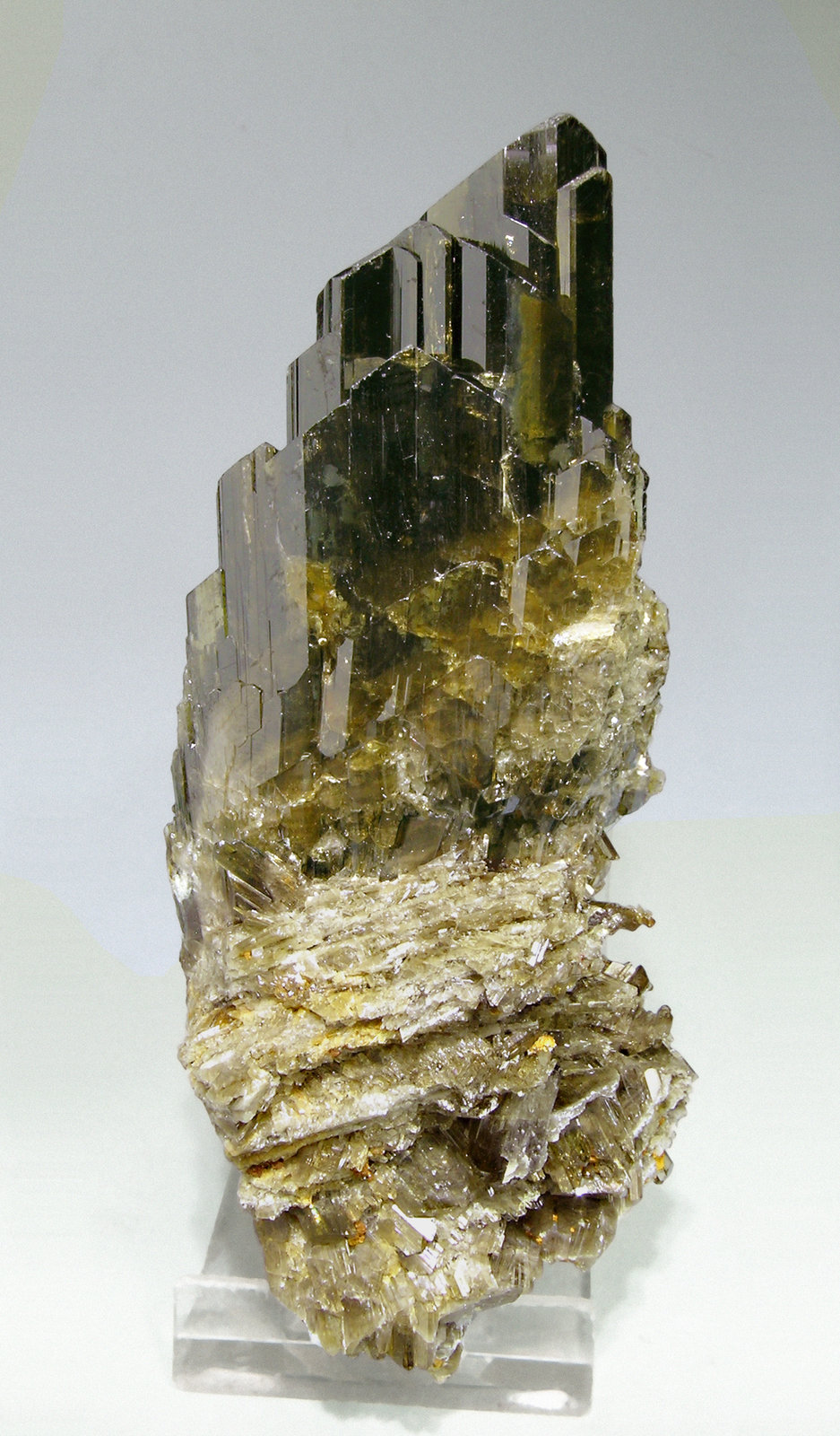 specimens/s_imagesM4/Clinozoisite-AC54M4f.jpg