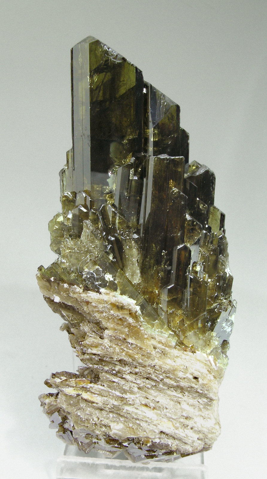 specimens/s_imagesM4/Clinozoisite-AC54M4r.jpg