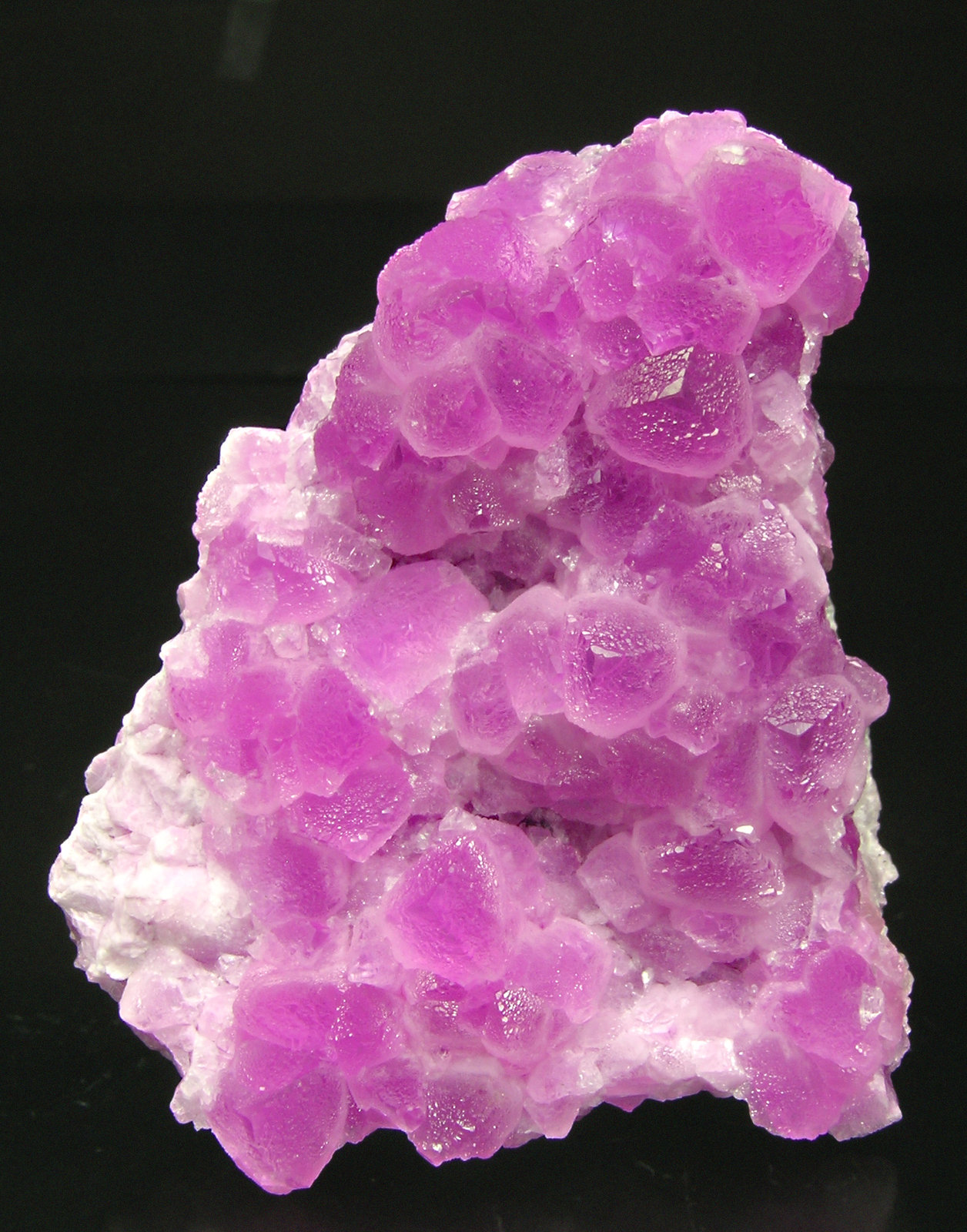 specimens/s_imagesM4/Cobaltian-Calcite-AD7M4f.jpg