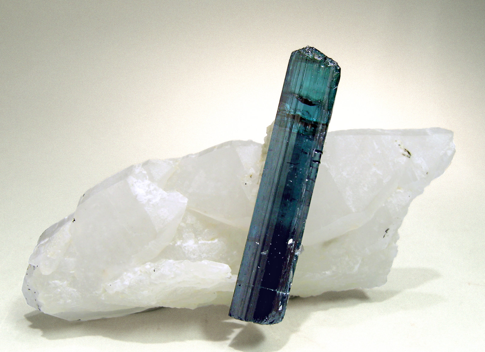 specimens/s_imagesM4/Elbaite-Indicolite-AB76M4f.jpg