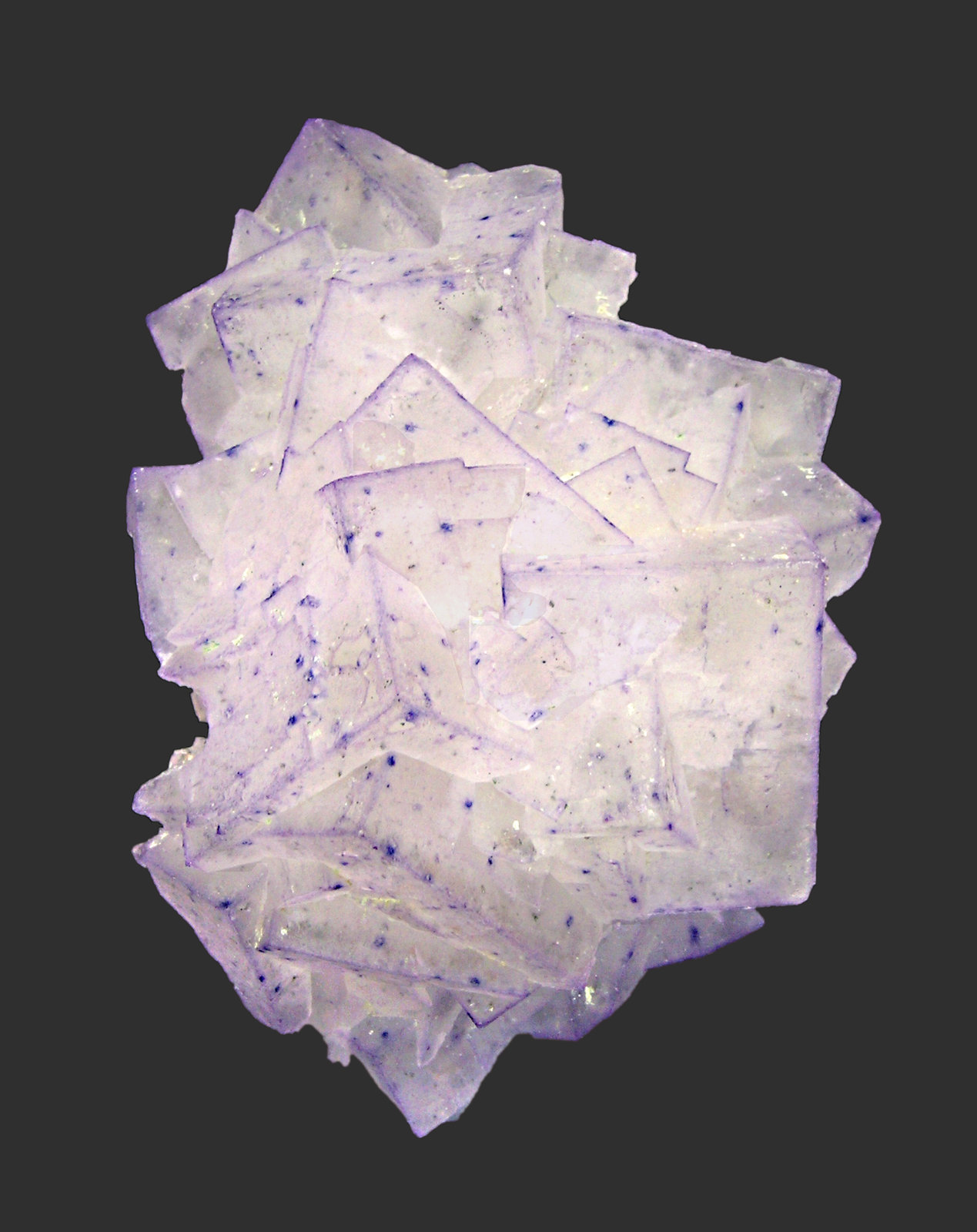 specimens/s_imagesM4/Fluorite-AM86M4s.jpg