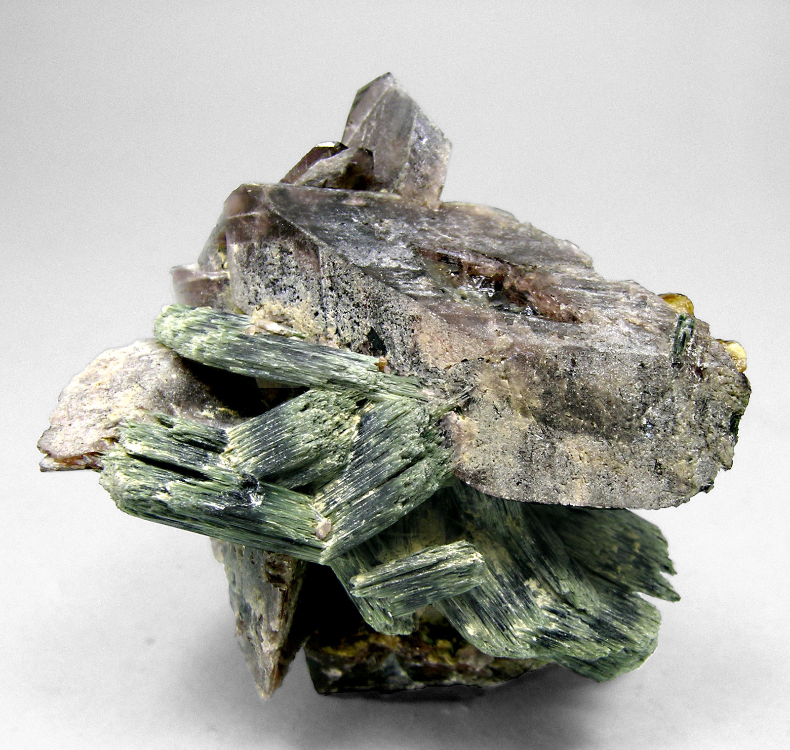 specimens/s_imagesM5/Axinite_Fe-RE61M5r.jpg