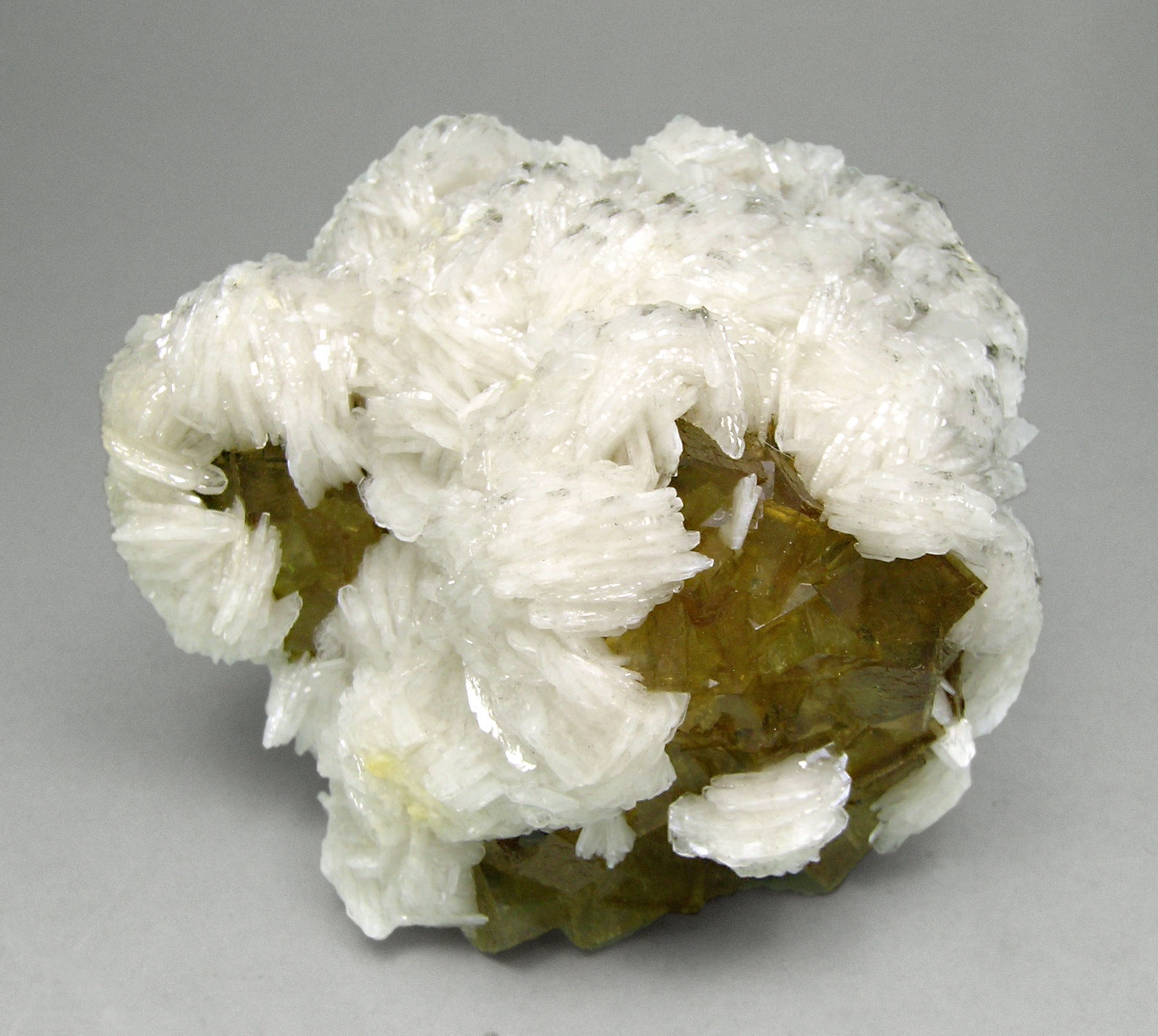 specimens/s_imagesM5/Fluorite-FR9M5.jpg