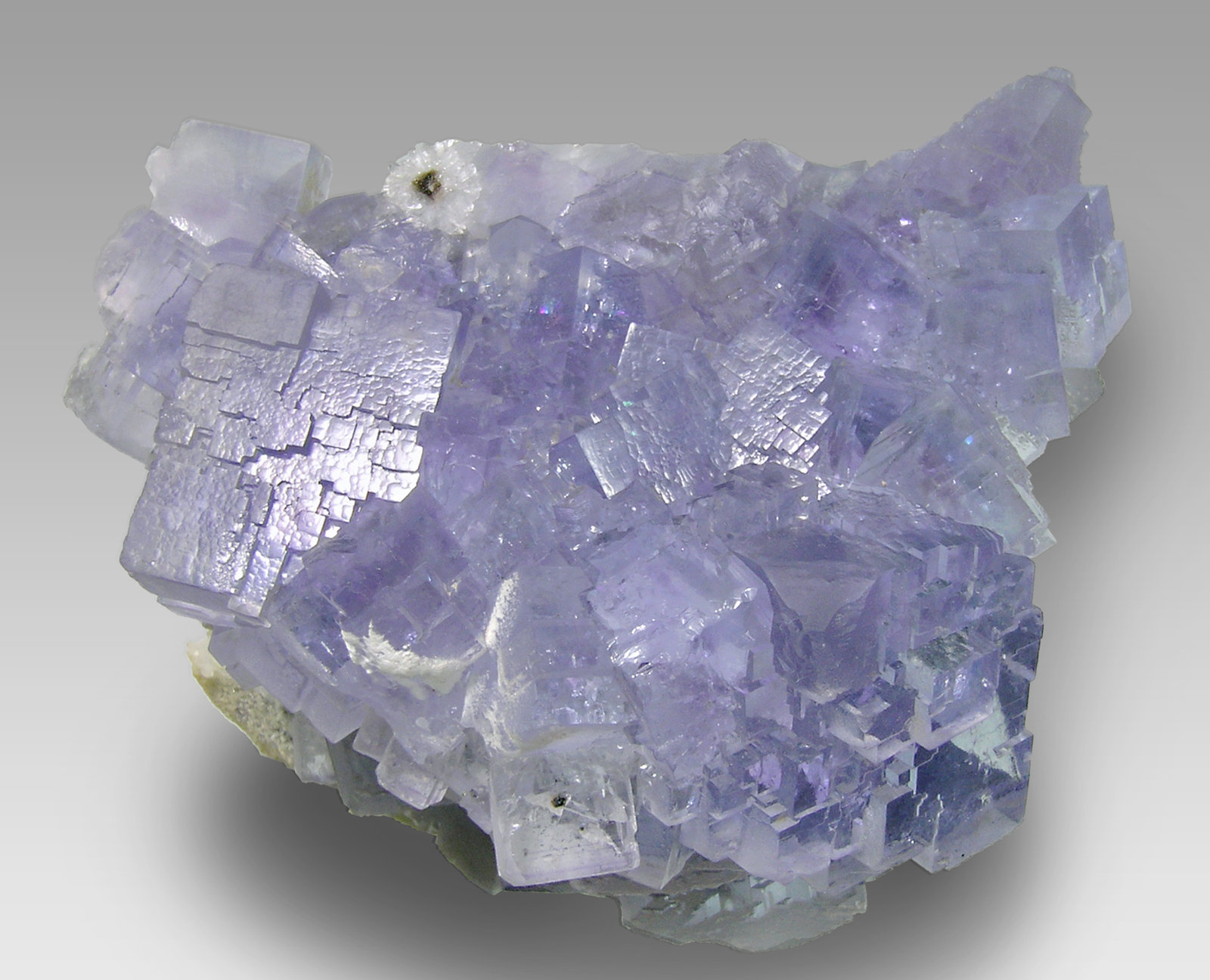 specimens/s_imagesM5/Fluorite-NF86M5t.jpg