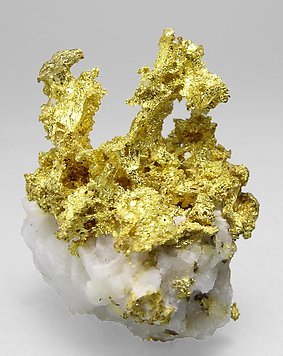 Gold with Quartz. Rear