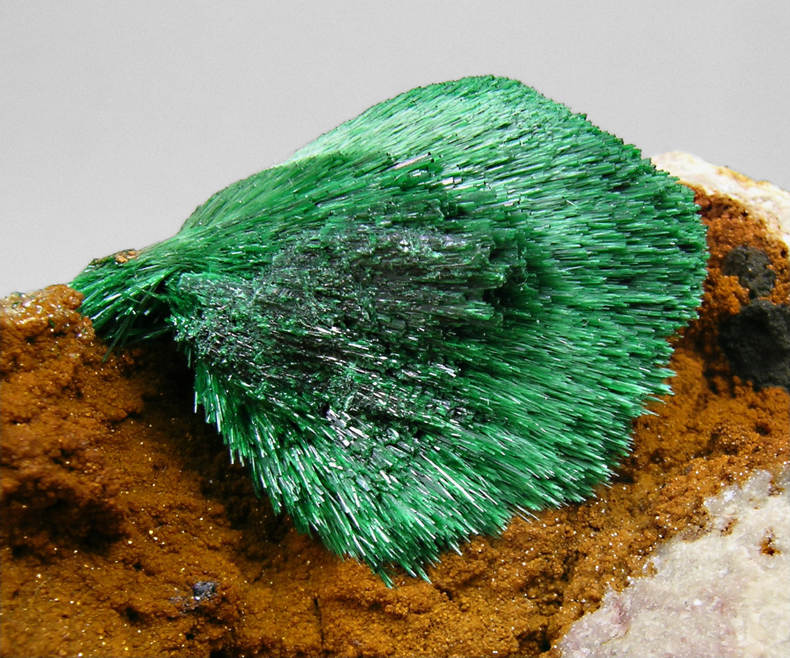 specimens/s_imagesM5/Malachite-NL46M5d.jpg