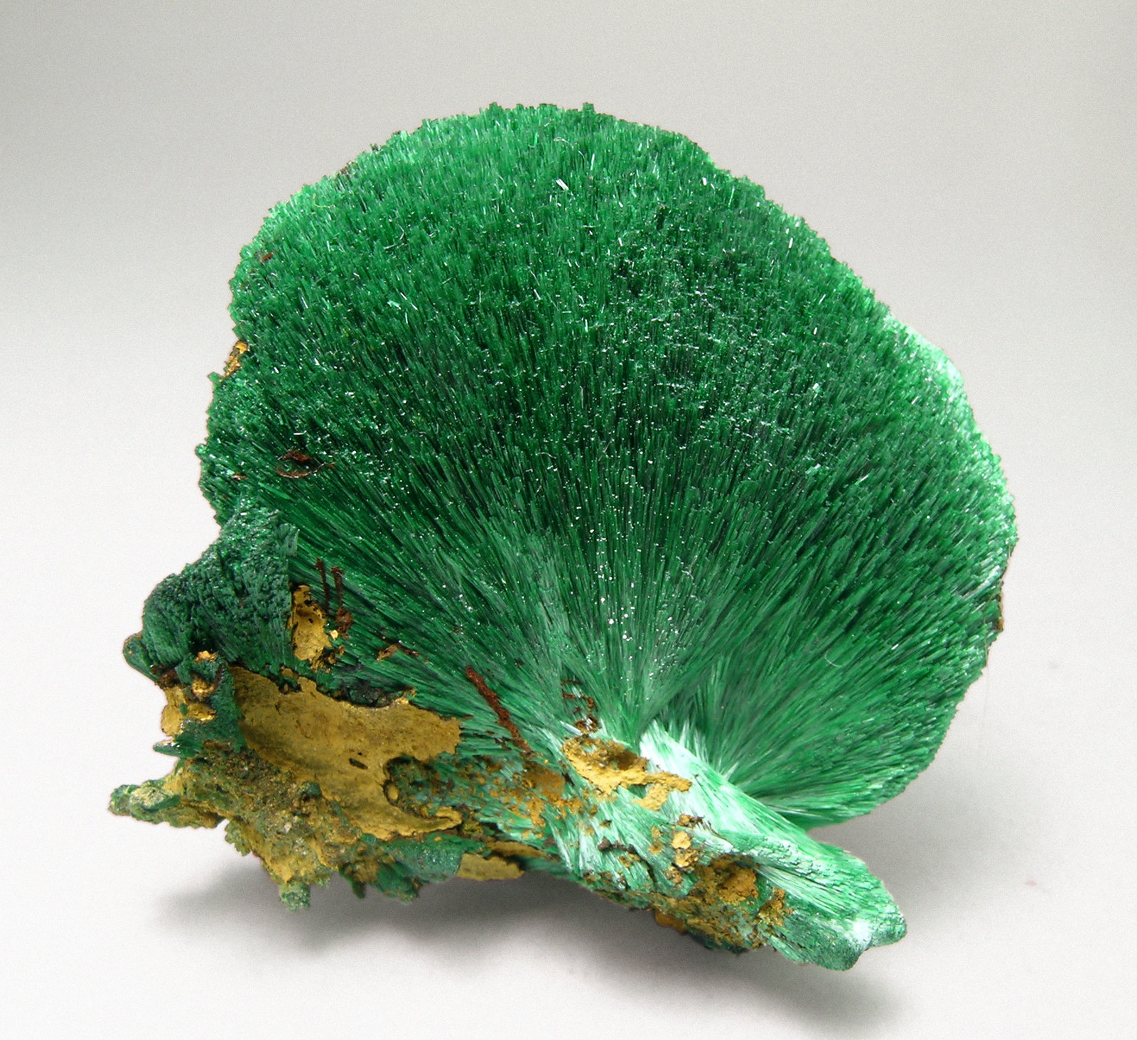 specimens/s_imagesM5/Malachite-NM46M5.jpg