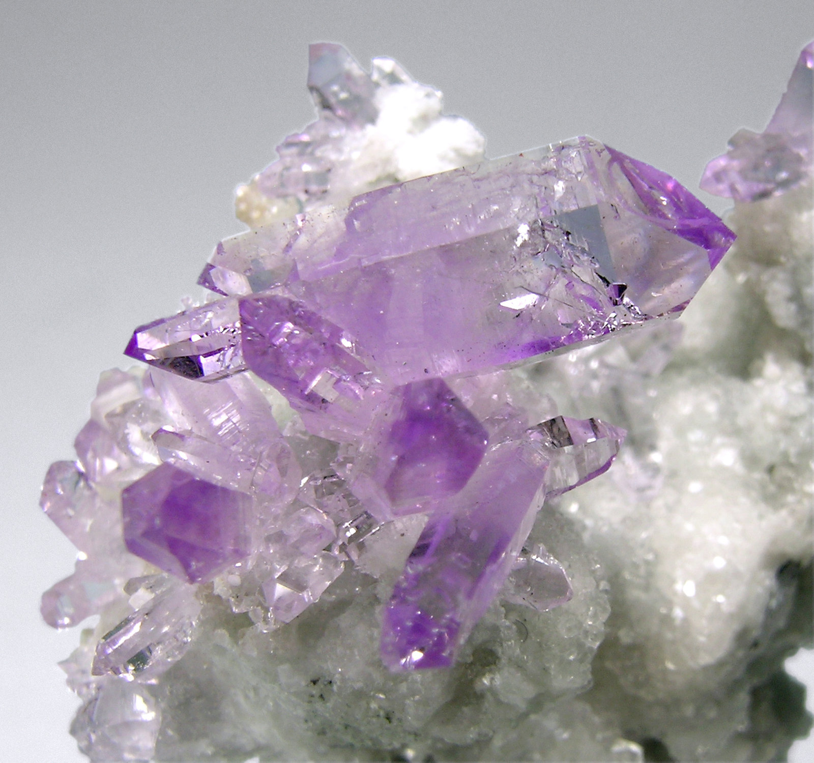 specimens/s_imagesM5/Quartz_Amethyst-MA6M5d.jpg