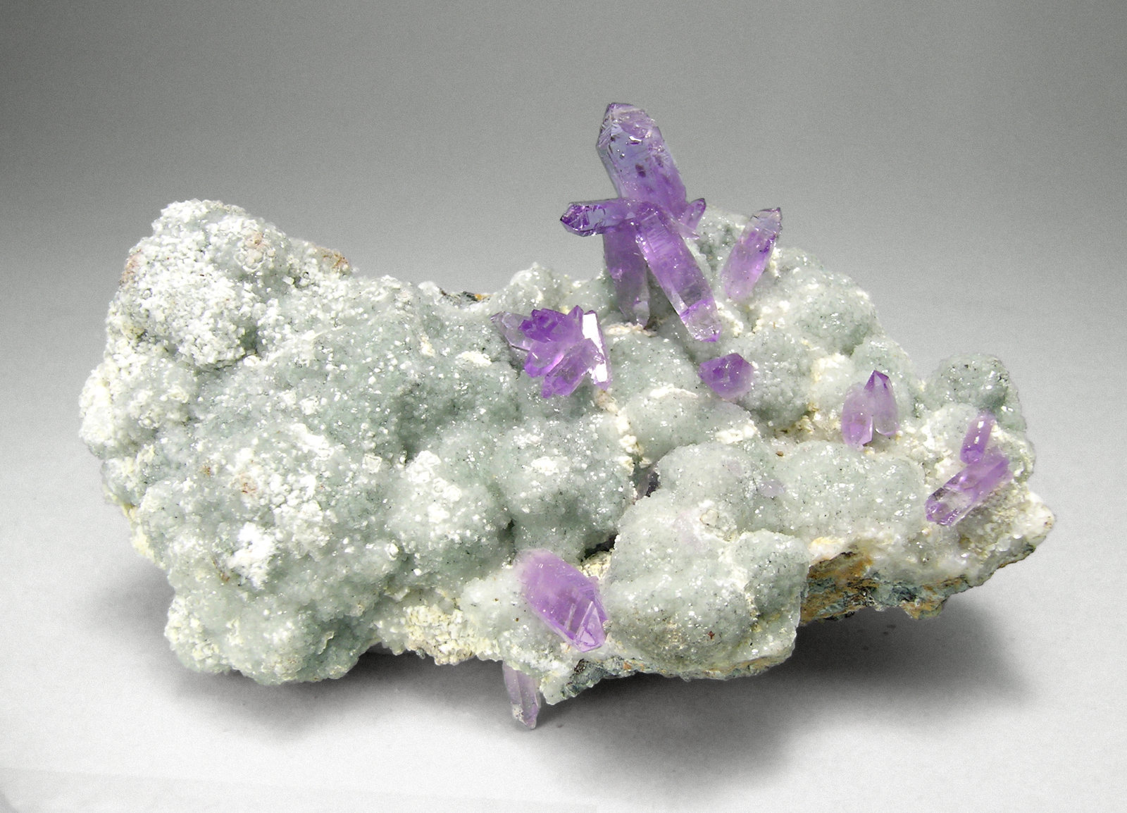 specimens/s_imagesM5/Quartz_Amethyst-MX57M5f.jpg