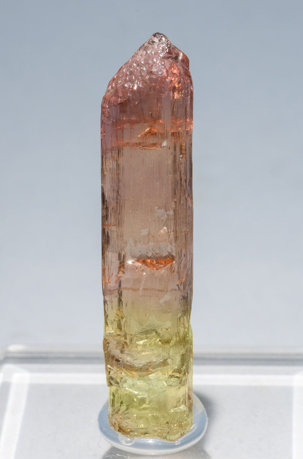 specimens/s_imagesM5/Tricolor_Elbaite-TW47M5.jpg