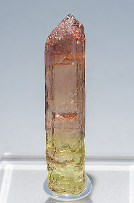 Tricolor Elbaite.