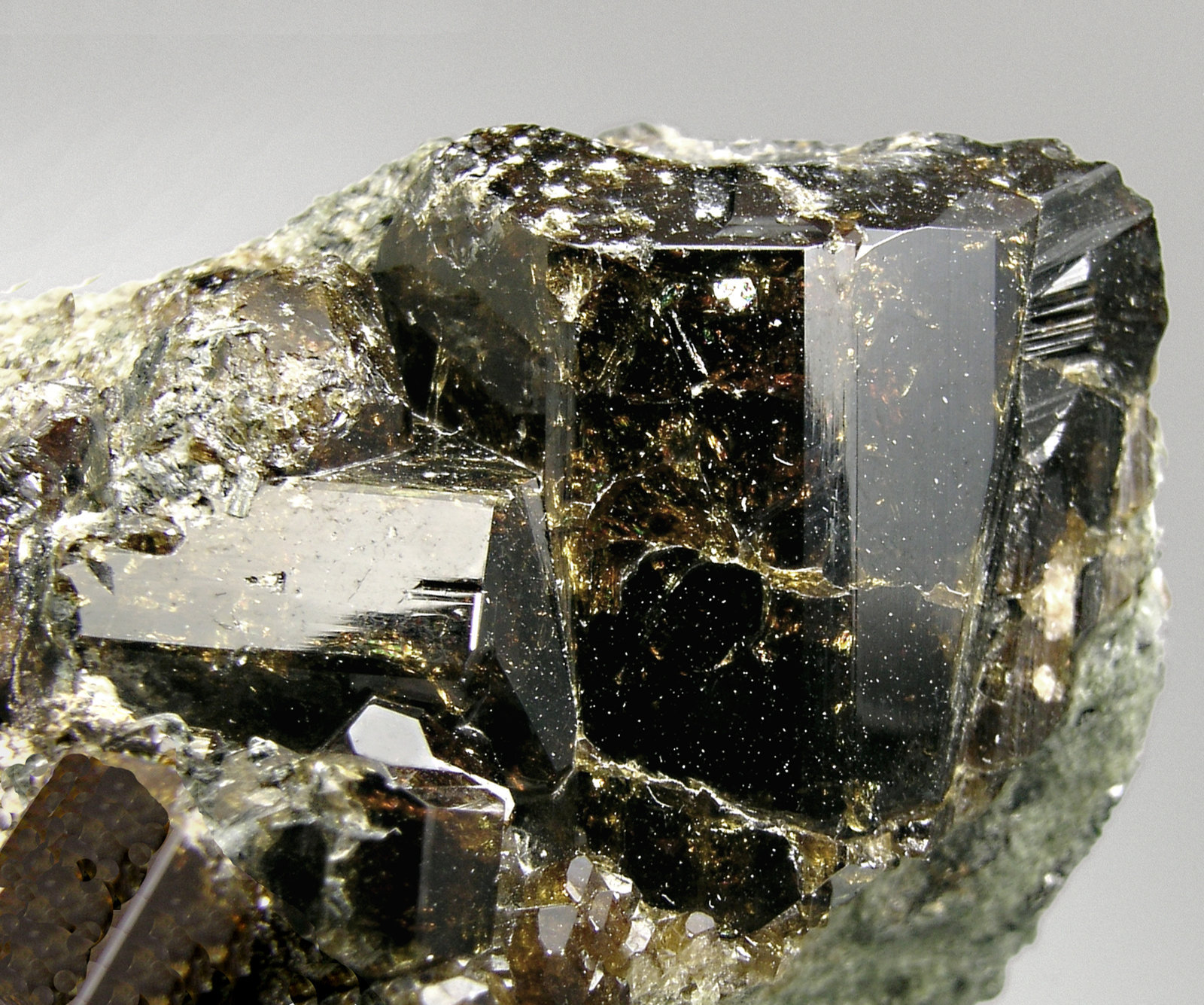 specimens/s_imagesM5/Vesuvianite-RF64M5d.jpg