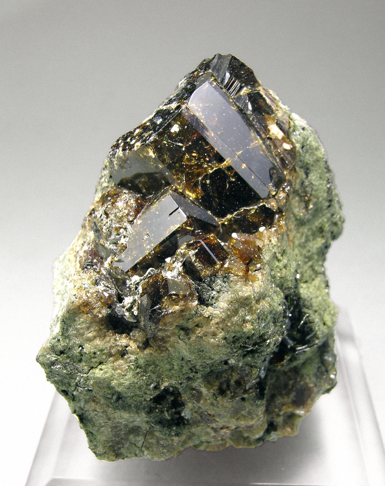 specimens/s_imagesM5/Vesuvianite-RF64M5f.jpg