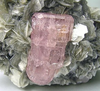 Fluorapatite with Muscovite. 