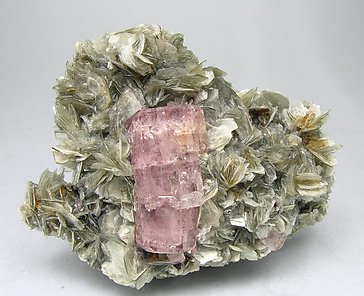 Fluorapatite with Muscovite.