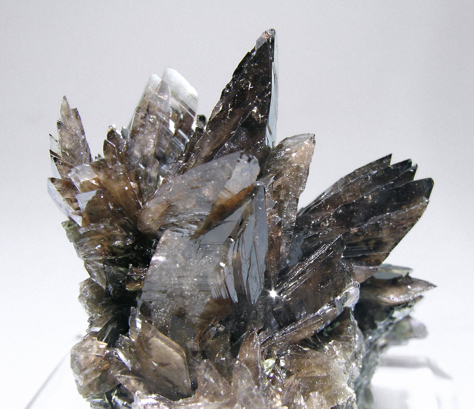 specimens/s_imagesM6/Axinite_Mn-AT96M6d.jpg