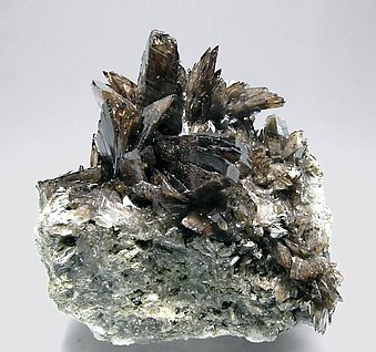 Axinite-(Mn).