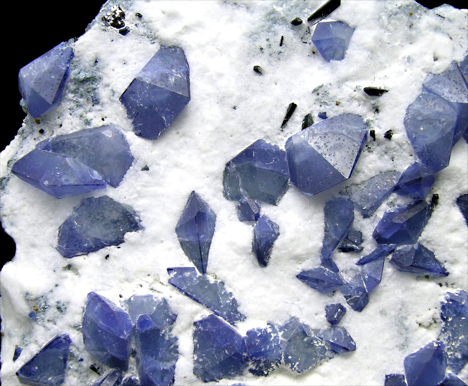 specimens/s_imagesM6/Benitoite-AH46M6d.jpg