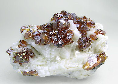 Esfalerita con Dolomita, Calcopirita y Pirita. 