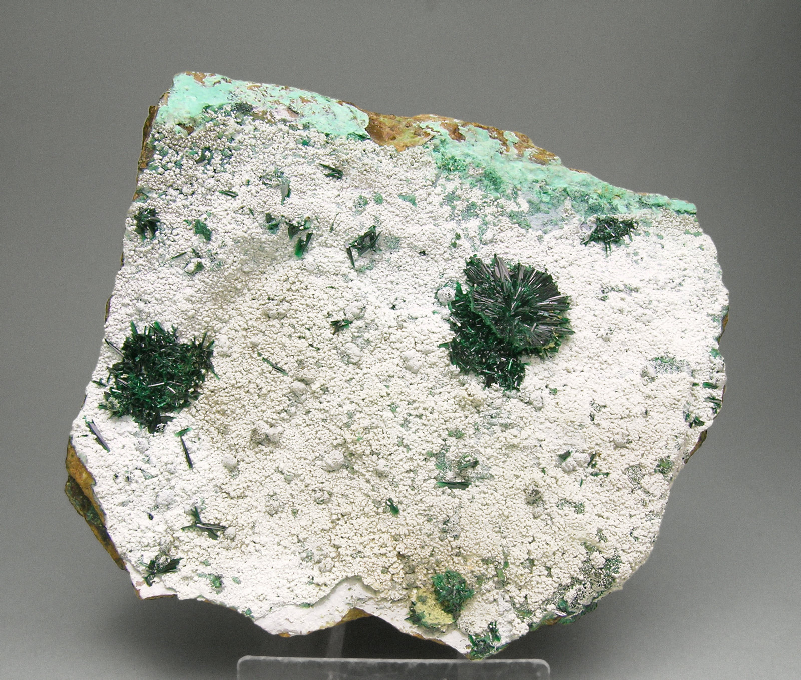 specimens/s_imagesM8/Atacamite-EQ26M8f.jpg