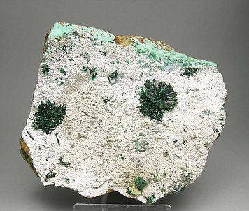 Atacamite with Halloysite. 