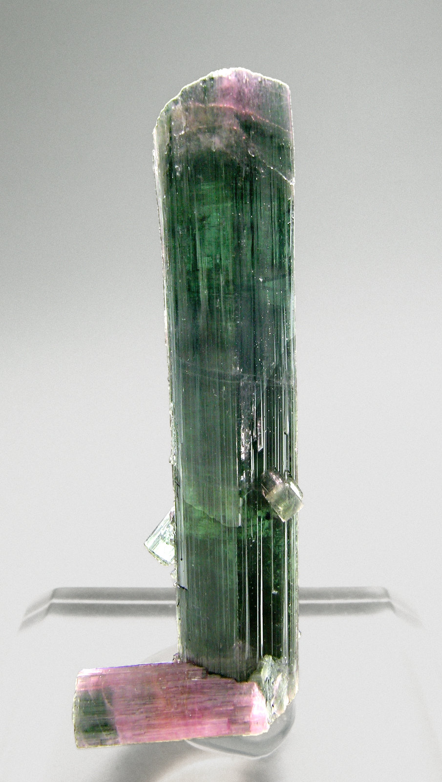 specimens/s_imagesM8/Elbaite-MX66M8f.jpg