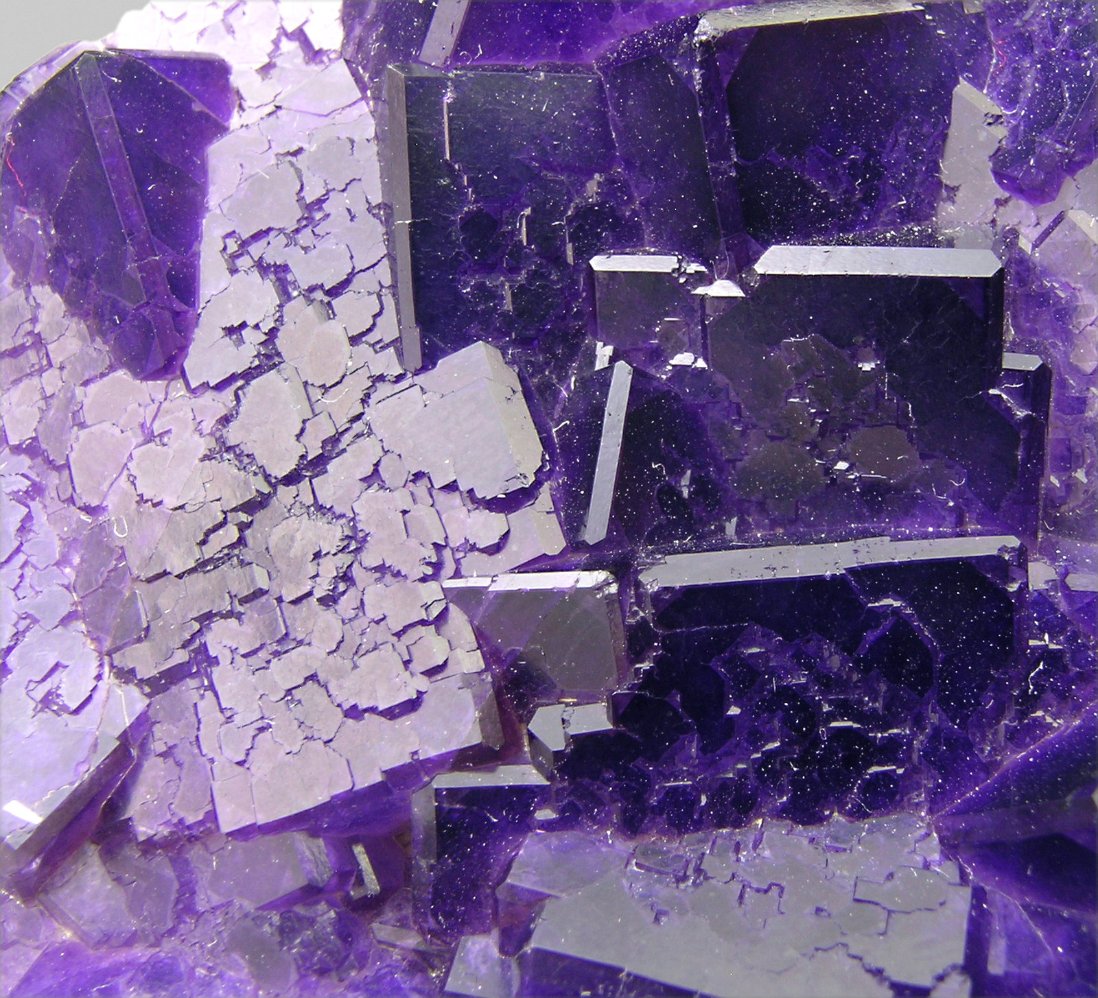 specimens/s_imagesM8/Fluorite-AC47M8d.jpg