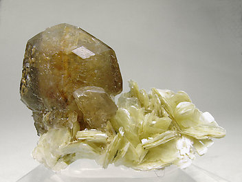 Herderite with Muscovite. Rear