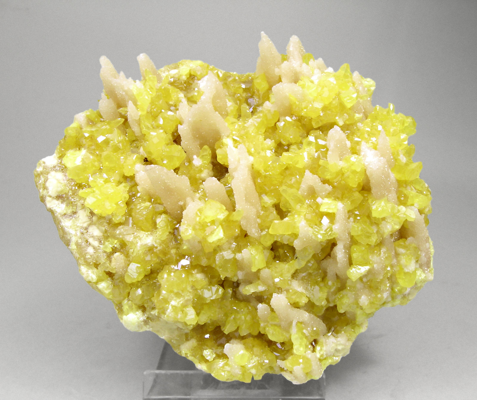 specimens/s_imagesM8/Sulfur-AM46M8f.jpg