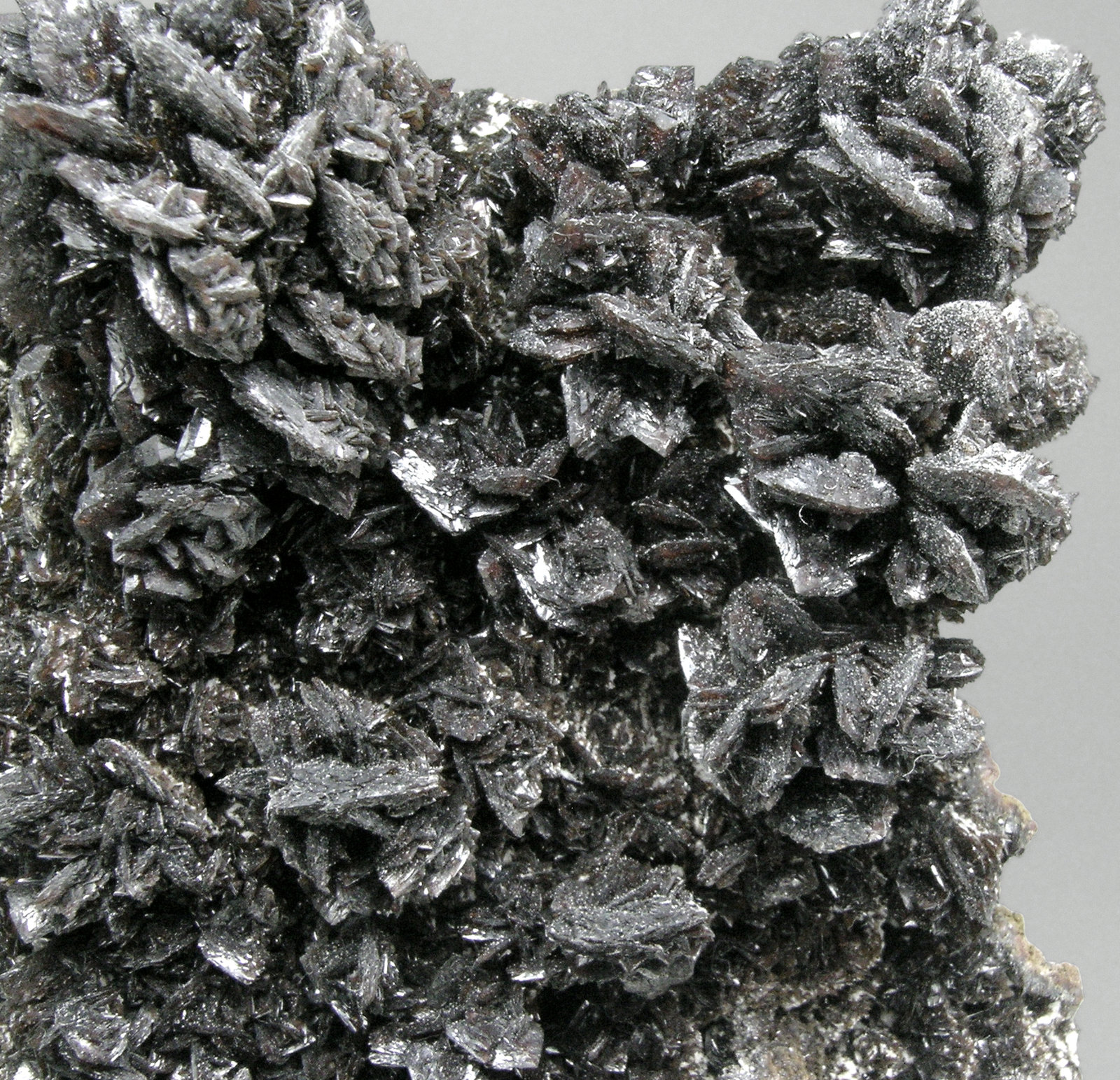 specimens/s_imagesM9/Descloizite-RG87M9d.jpg