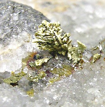 Gold with Quartz. 