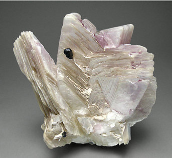 Tantalite-(Mn) with 'lepidolite'.