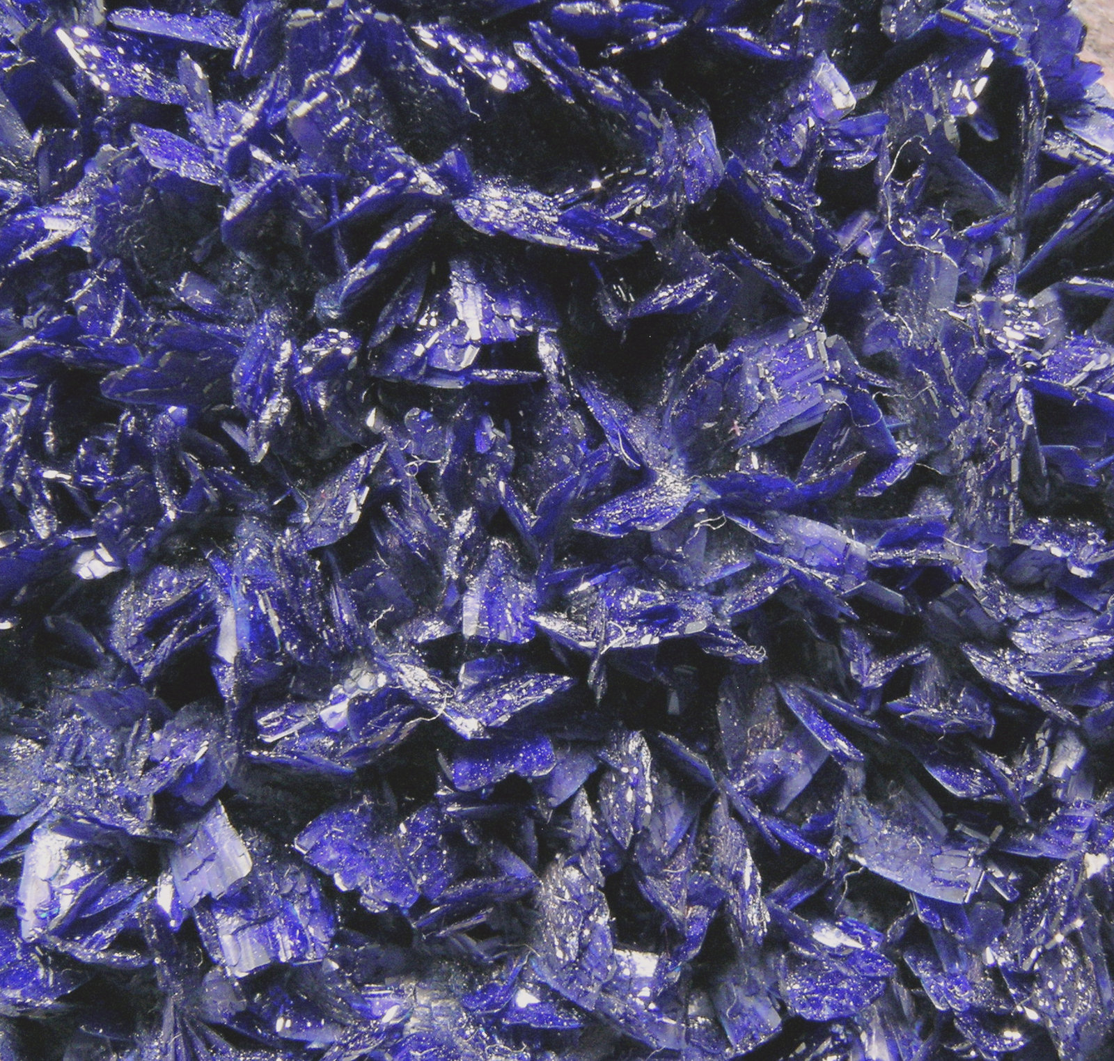 specimens/s_imagesN0/Azurite-TJ27N0d.jpg