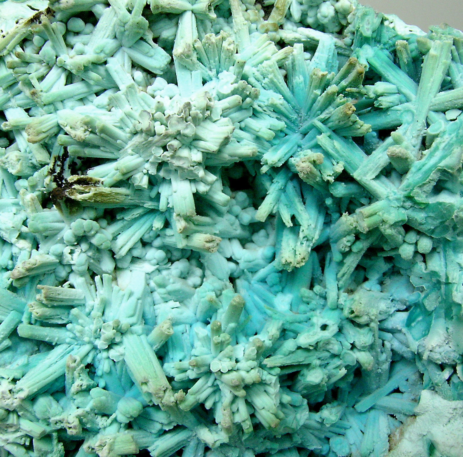 specimens/s_imagesN0/Chrysocolla-TA91N0d.jpg