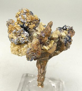 Copper with Cerussite and Cuprite.