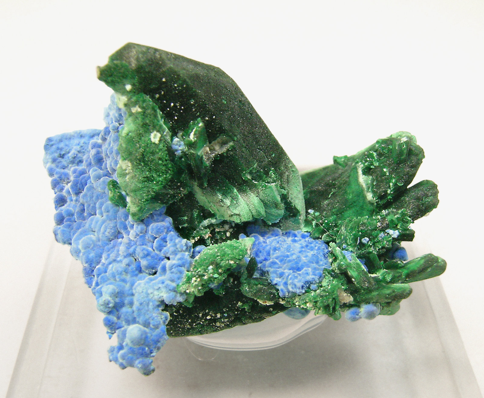 specimens/s_imagesN0/Malachite_pseudo_Azurite-TE88N0f.jpg