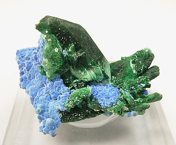 Malachite pseudo Azurite with Plancheite. 