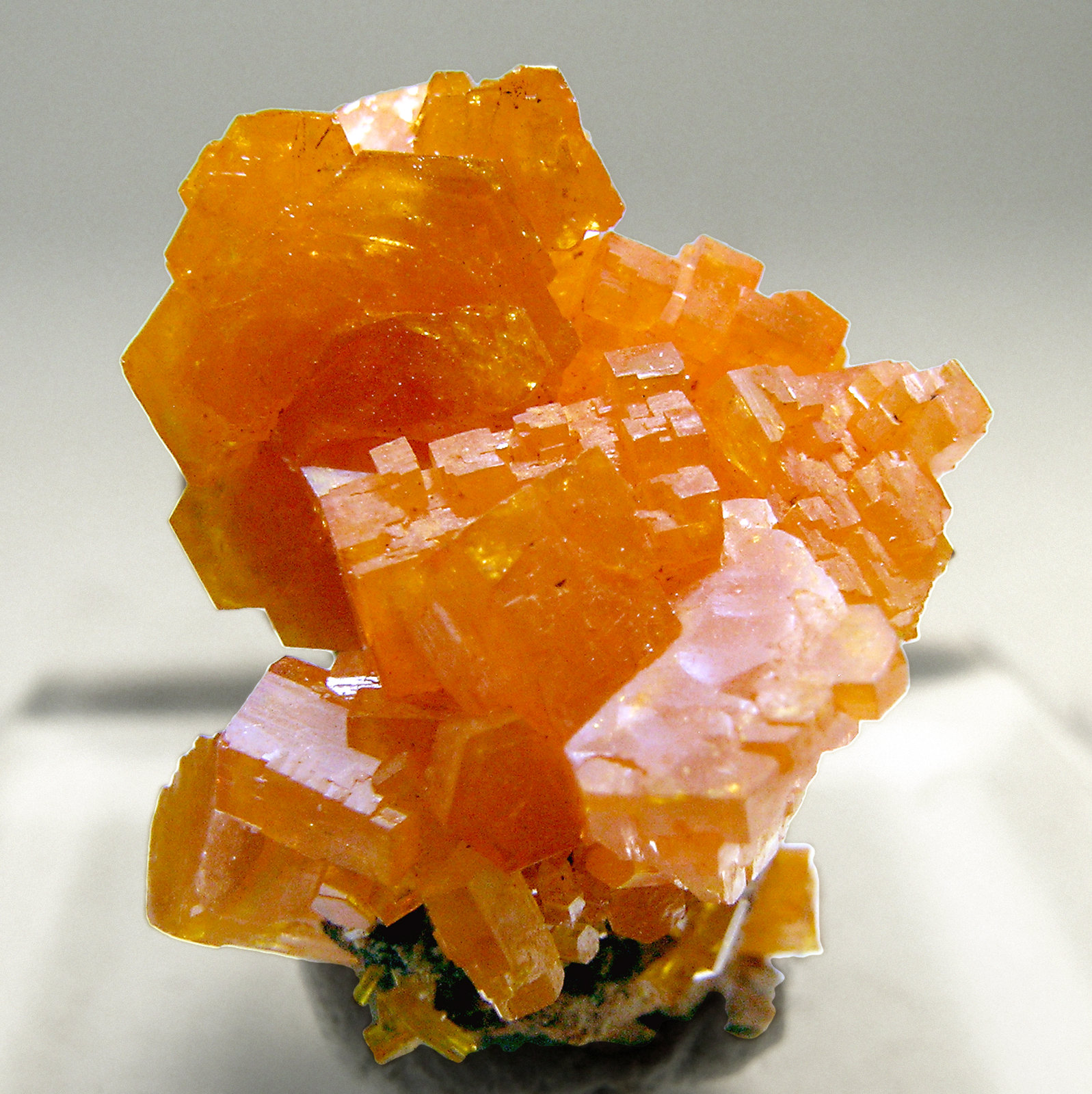 specimens/s_imagesN0/Mimetite-PM16N0.jpg