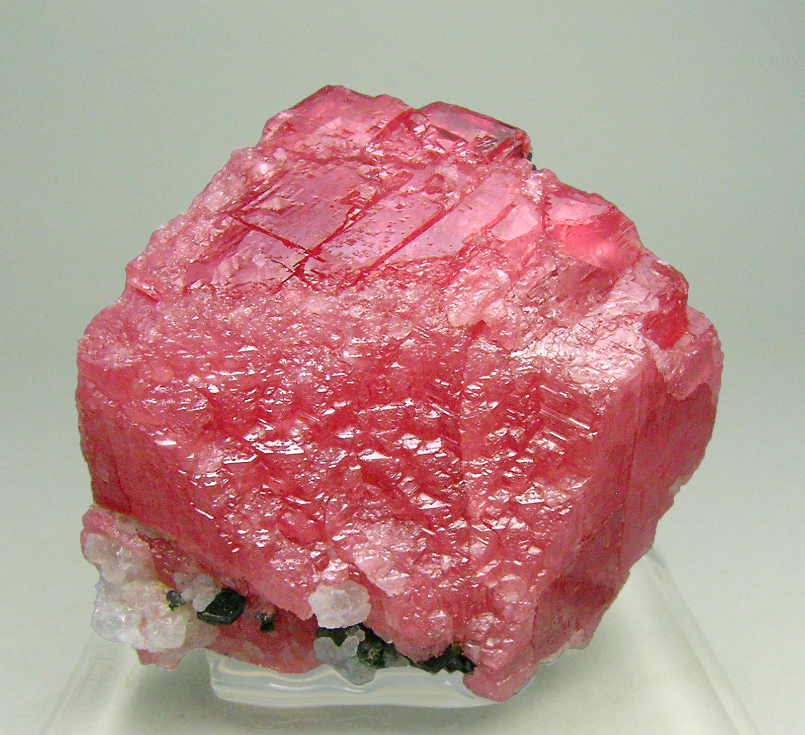 specimens/s_imagesN0/Rhodochrosite-MD53N0f.jpg