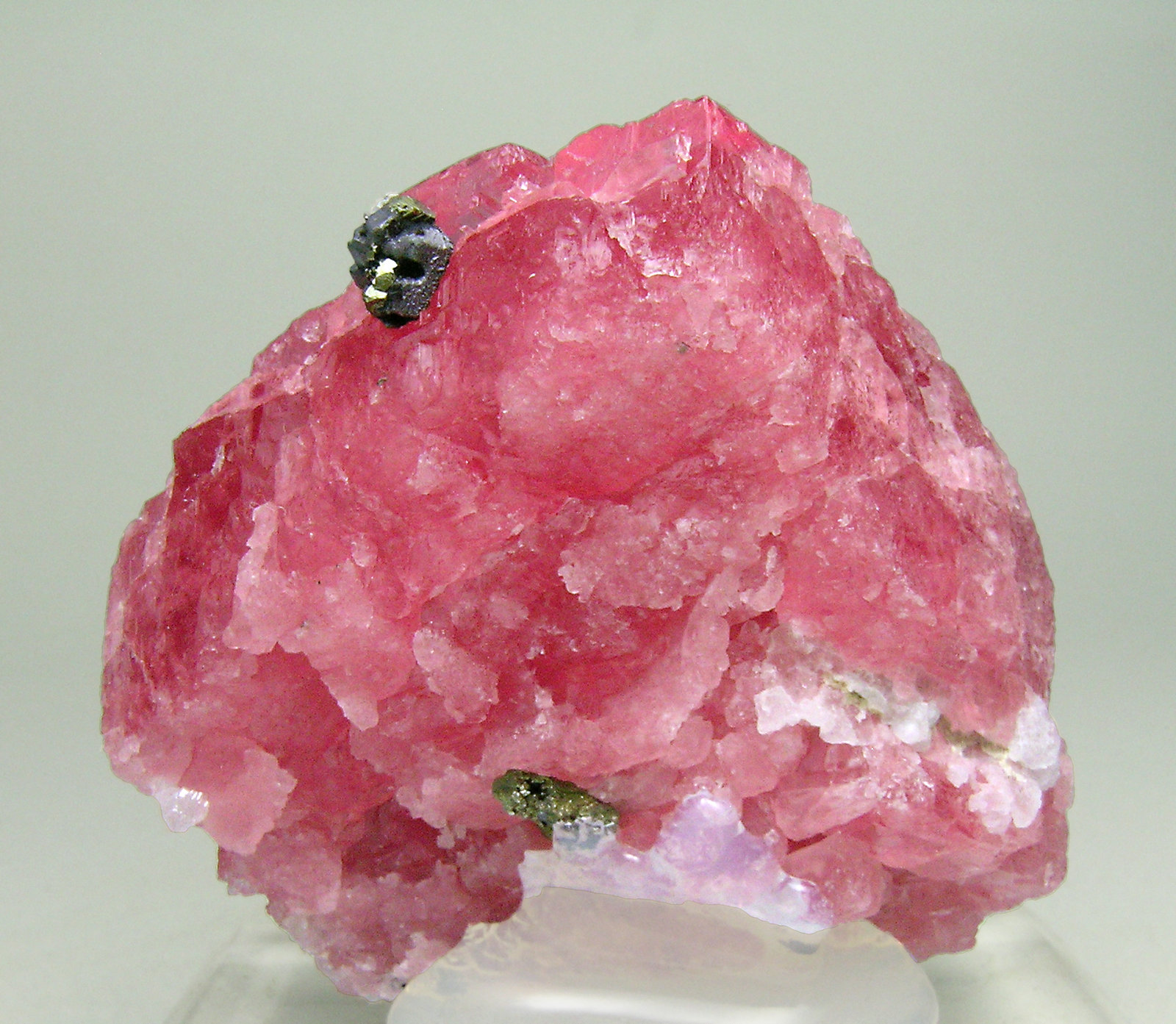 specimens/s_imagesN0/Rhodochrosite-MD53N0r.jpg