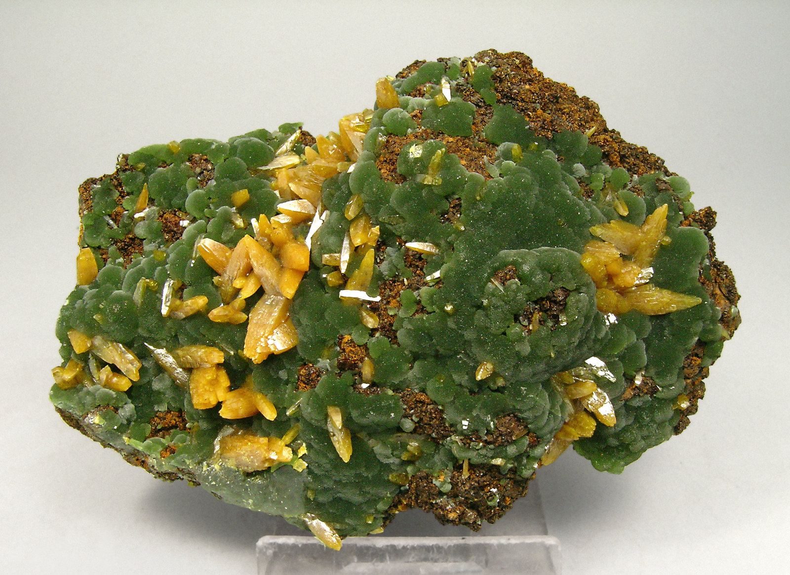 specimens/s_imagesN0/Wulfenite-TQ70N0f.jpg