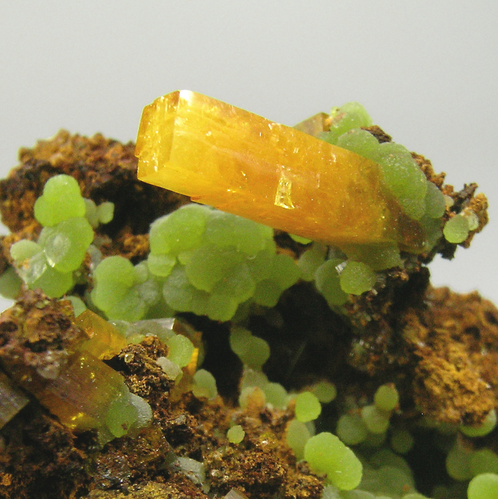 specimens/s_imagesN0/Wulfenite-TY47N0d.jpg