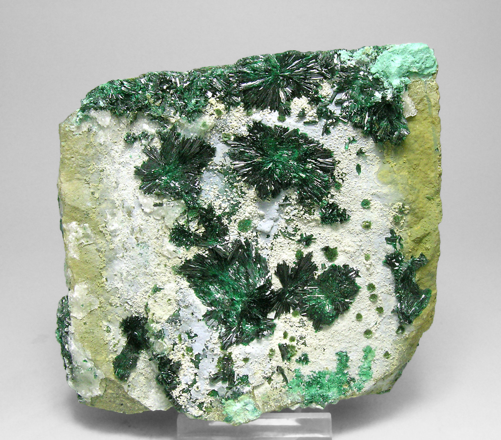 specimens/s_imagesN2/Atacamite-AY58N2f.jpg