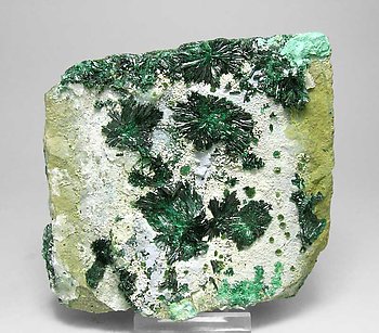 Atacamite with Halloysite. 