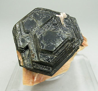 Phlogopite with Calcite. 